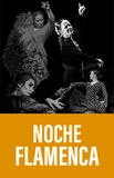 Noche Flamenca 