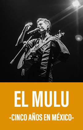 El Mulu -Cinco años en México-