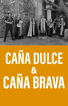 Caña Dulce y Caña Brava -Festejo Fin de Año-