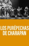 Los Purépechas de Charapan 