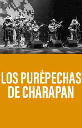 Los Purépechas de Charapan 